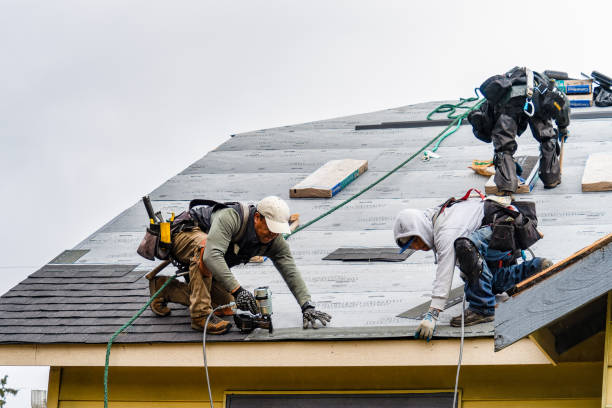 Professional Roofing technician working in Manvel, ND
